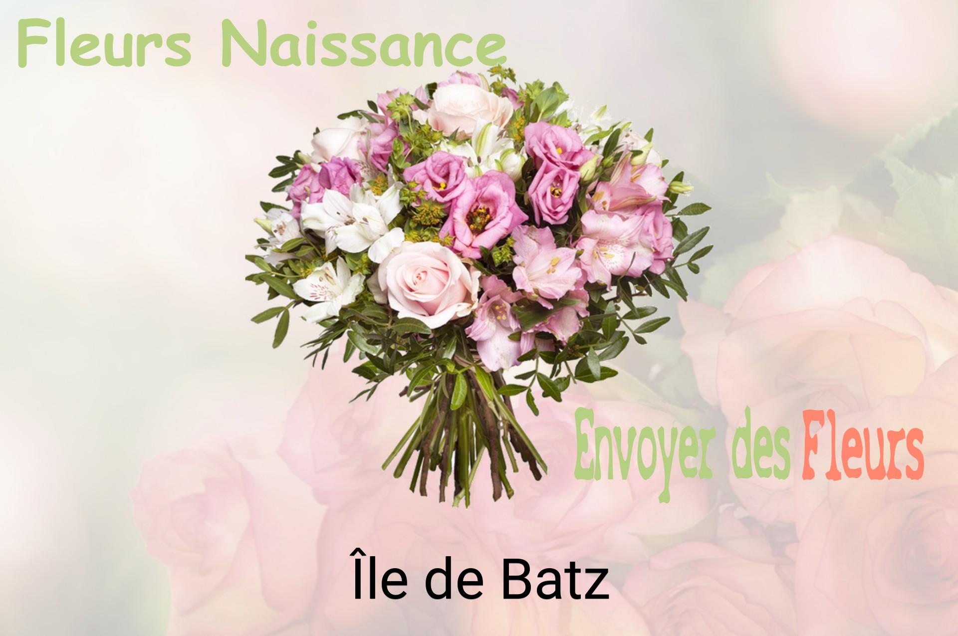 Bouquet de fleurs de naissance livré à Île-de-Batz